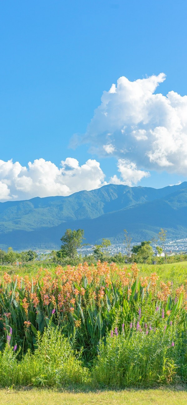 Cảnh hoàng hôn yên bình