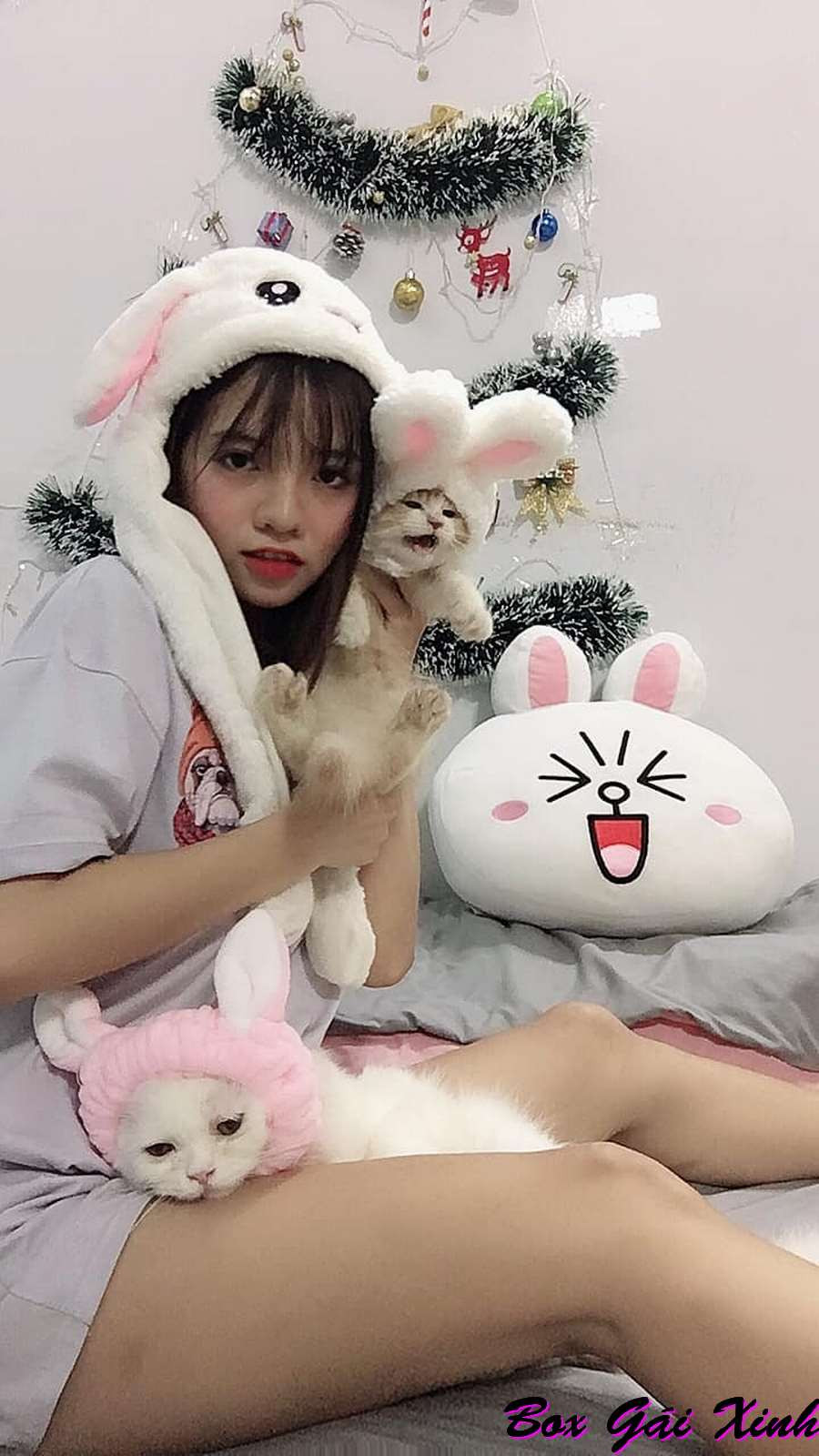 Hình ảnh Ciin cute với chú mèo