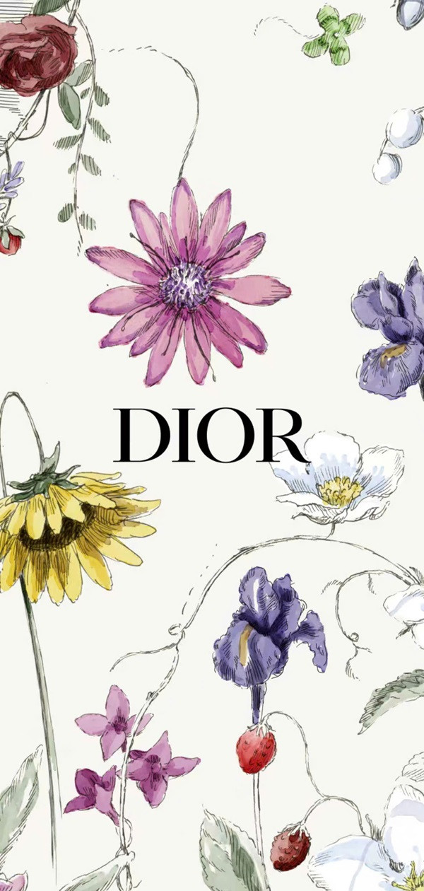 Hình nền Dior 4k 4