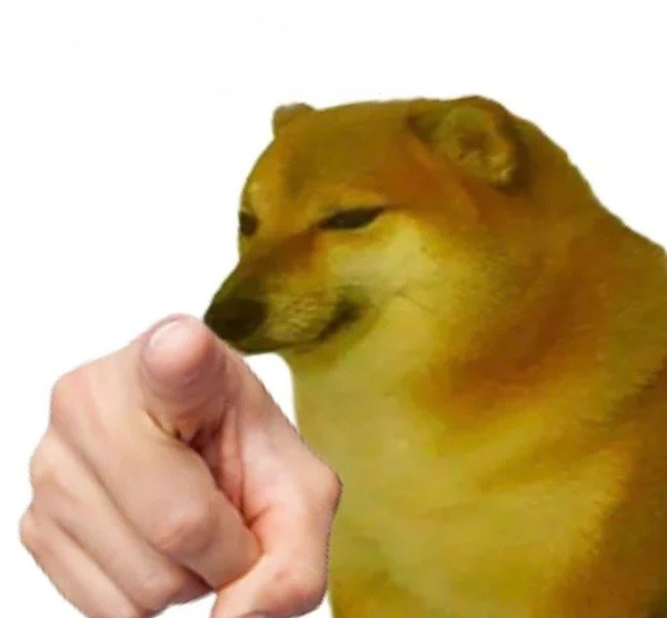 Meme chó Shiba Inu mặt ngơ