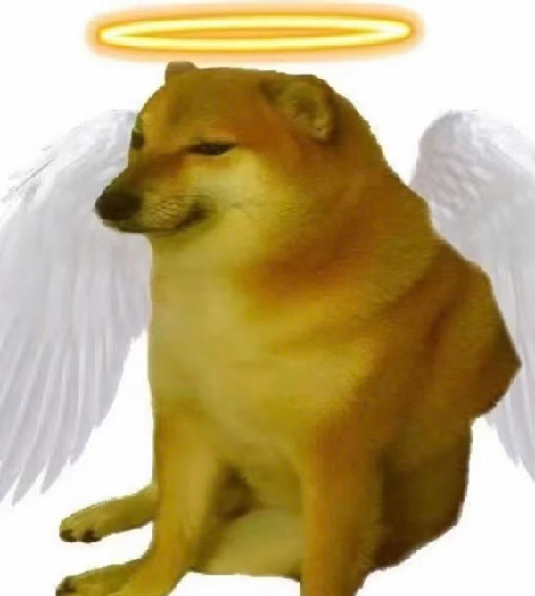 Meme chó Shiba Inu mặt cau có