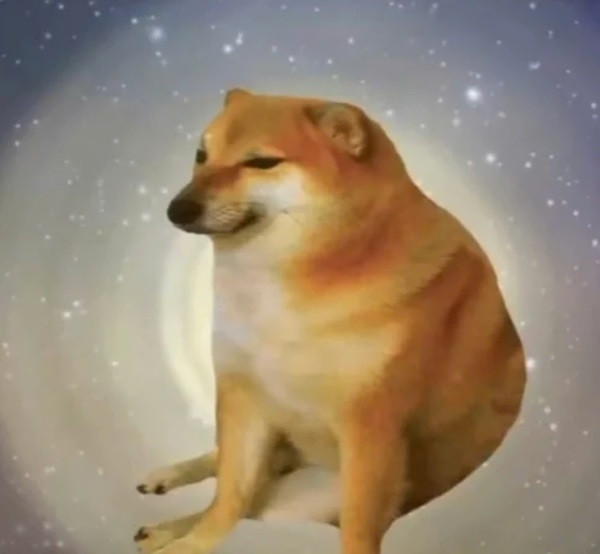 Meme chó Shiba Inu cười nham hiểm