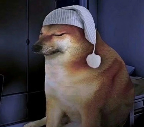 Meme chó Shiba Inu đội mũ bảo hiểm